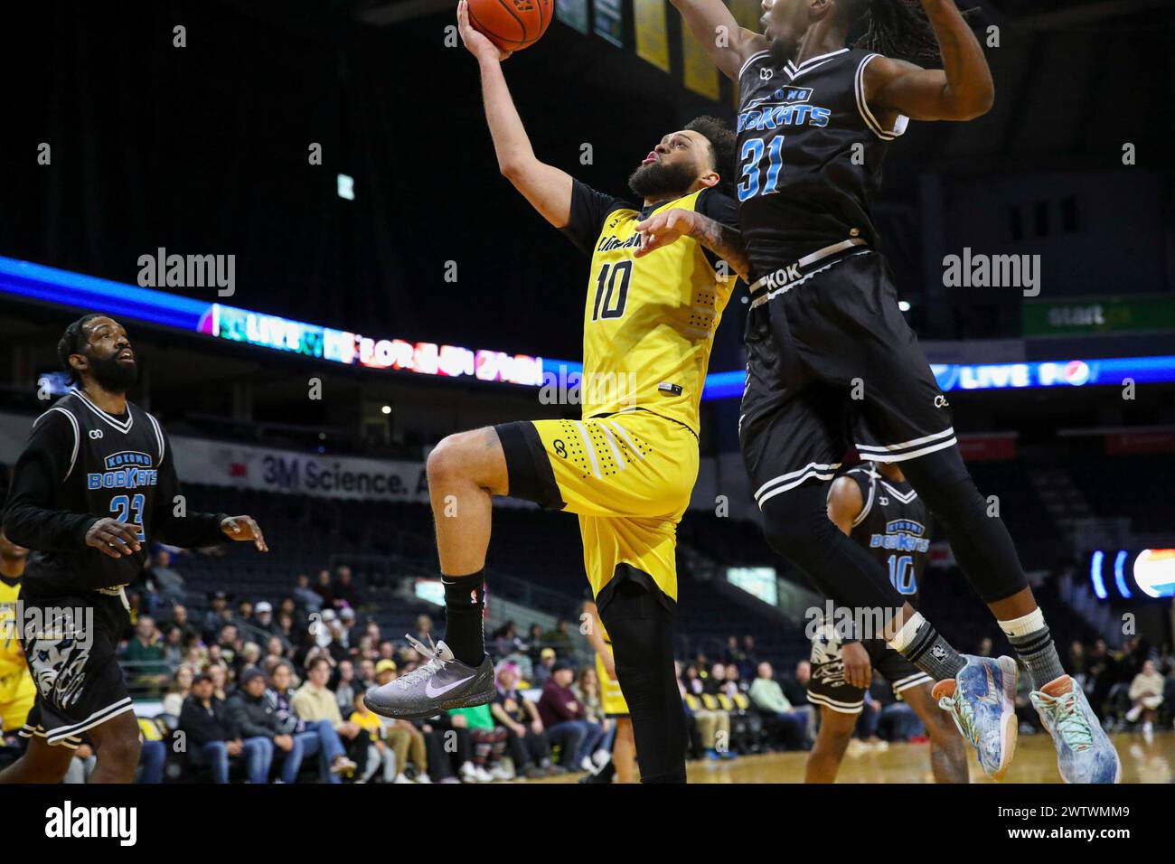 London, Canada. 19th Mar, 2024. The Kokomo Bobkats defeat the London