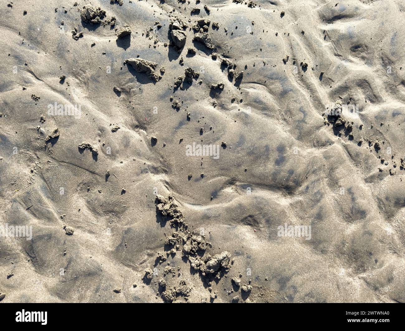 Wet sand with small piece crashed with ripple shape Stock Photo