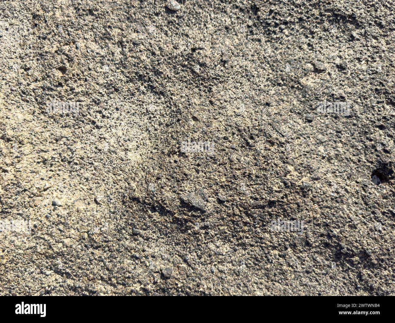 Sea pore rock texture abstract background close up view Stock Photo