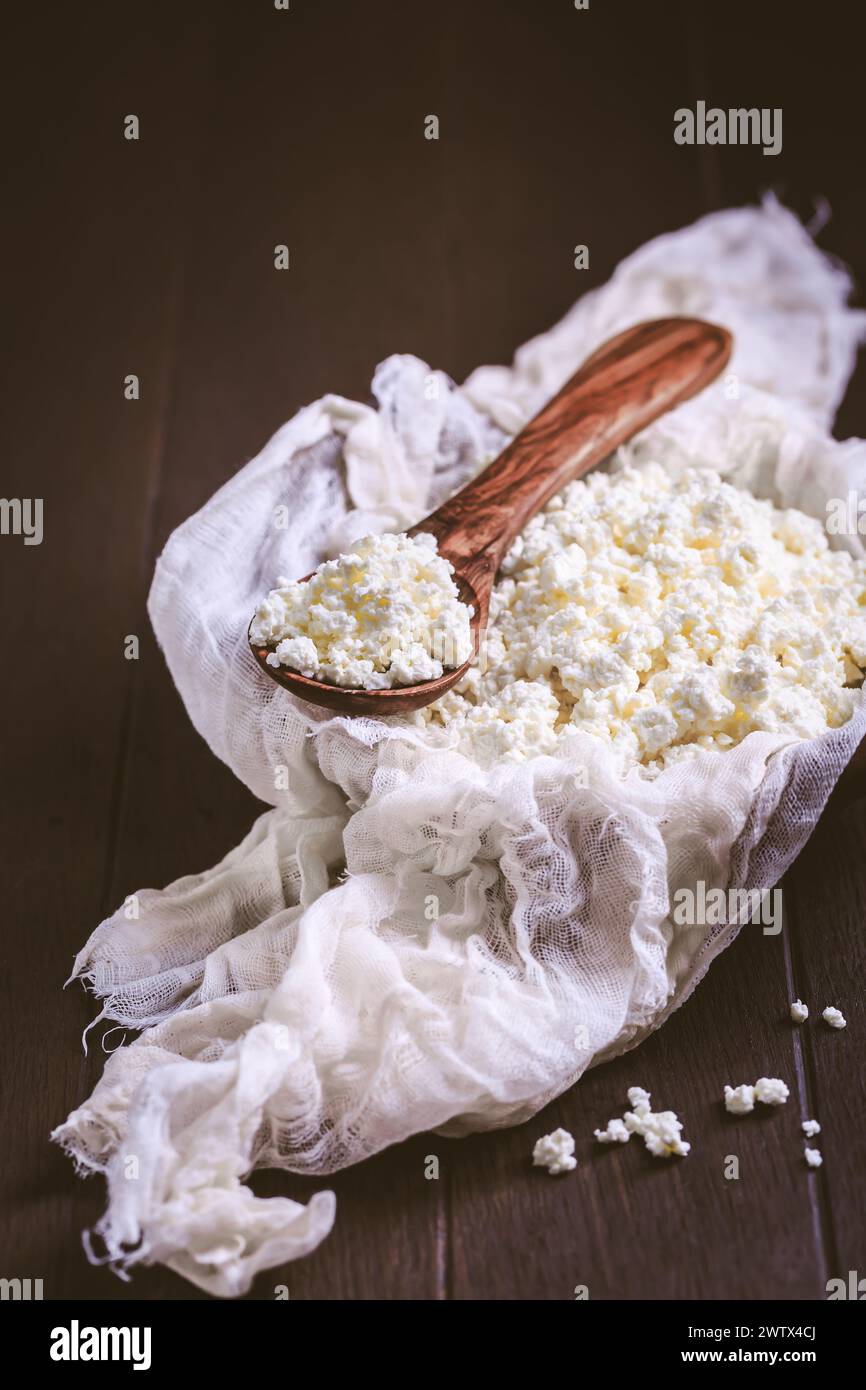 Raw curd cheese, grainy cottage cheese, ricotta, farmers cheese (Tworog) on dark background Stock Photo