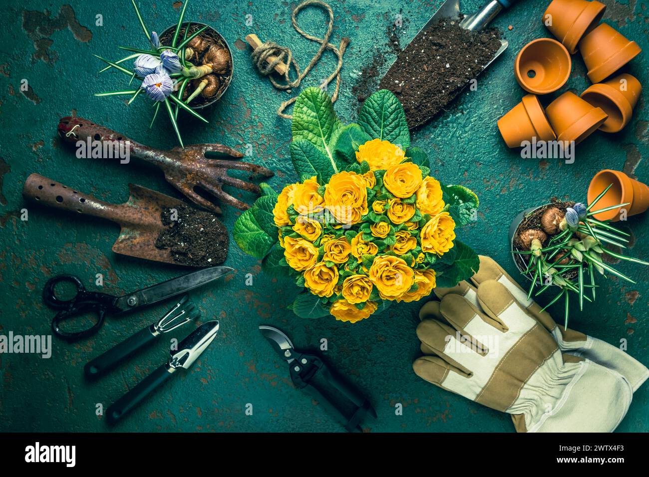 Gardening tools, pruning, horticulture and vegetable garden. Gardening concept. Stock Photo