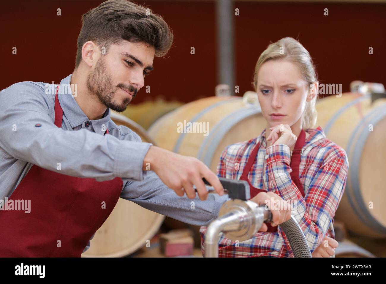 male and female workers in wine cellar Stock Photo Alamy