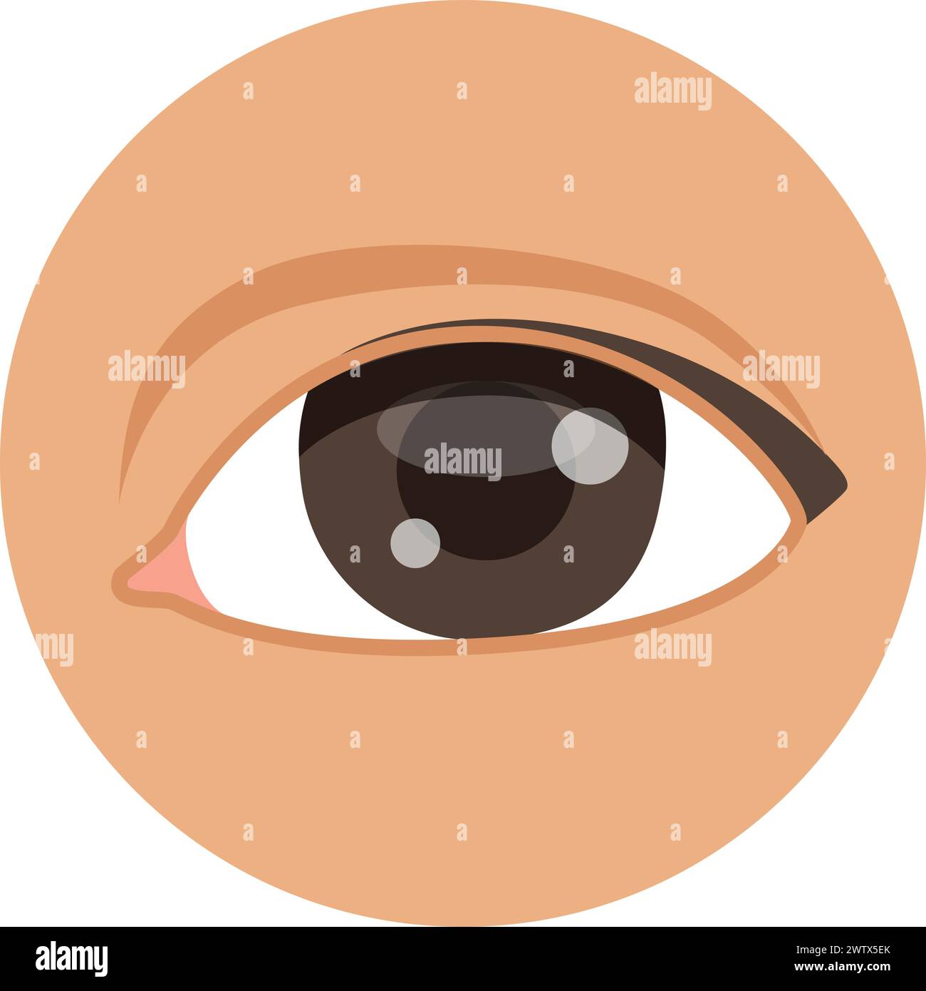 Eye color icon. Vision symbol. Facial part Stock Vector Image & Art - Alamy