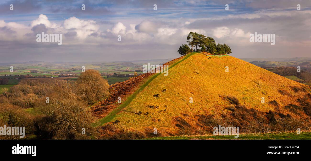 The beautiful Colmers Hill in the west Dorset countryside south west ...