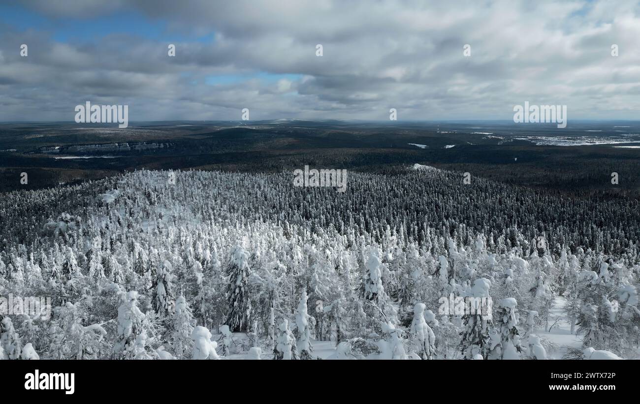 Slow motion aerial view of snowy trees in beautiful winter forest. Clip. Winter landscape in frozen mountains nature. Stock Photo