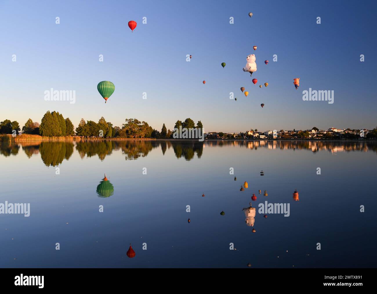 Balloons over waikato festival 2025 hires stock photography and images