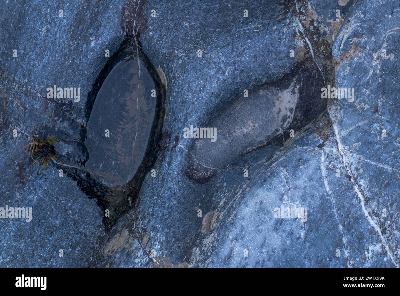 Puddle Stone Small puddle in blue rock close up, dent in stone filled with water ...