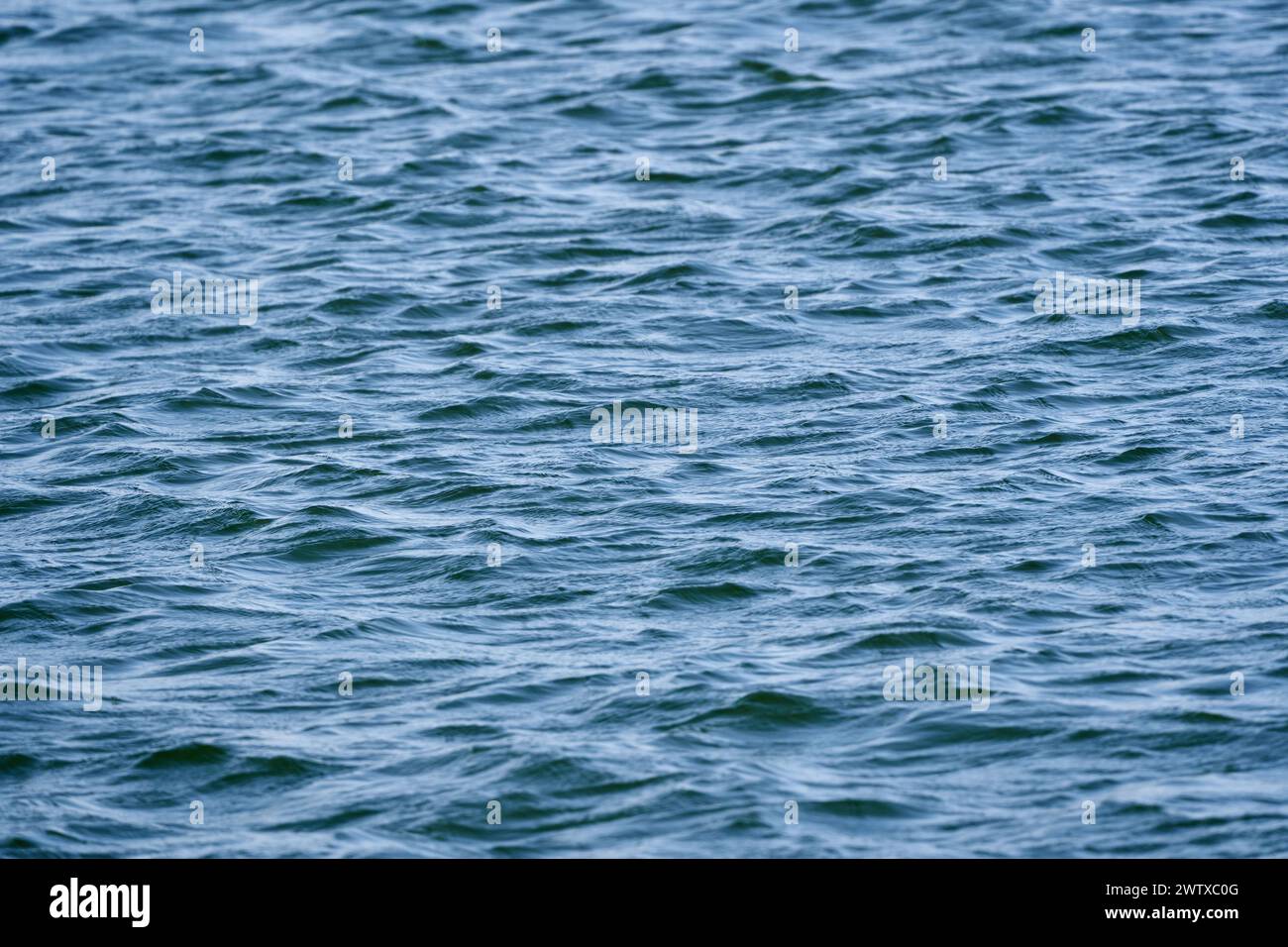 Waves on a lake in a sunny day in the spring Stock Photo