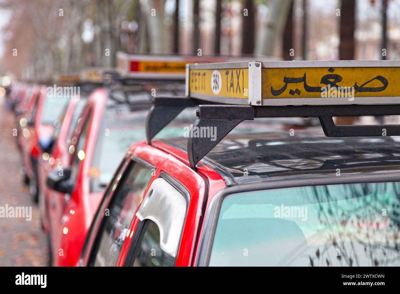 Fez, Morocco - January 202019: Row of red 'Petit Taxi'. In Morocco, taxis are divided in two categories, Petit Taxi (English: Small Taxi) and Grand Ta Stock Photo
