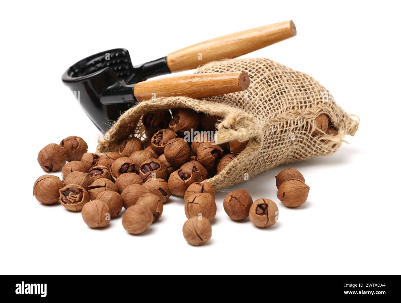 shagbark hickory nuts on white background Stock Photo