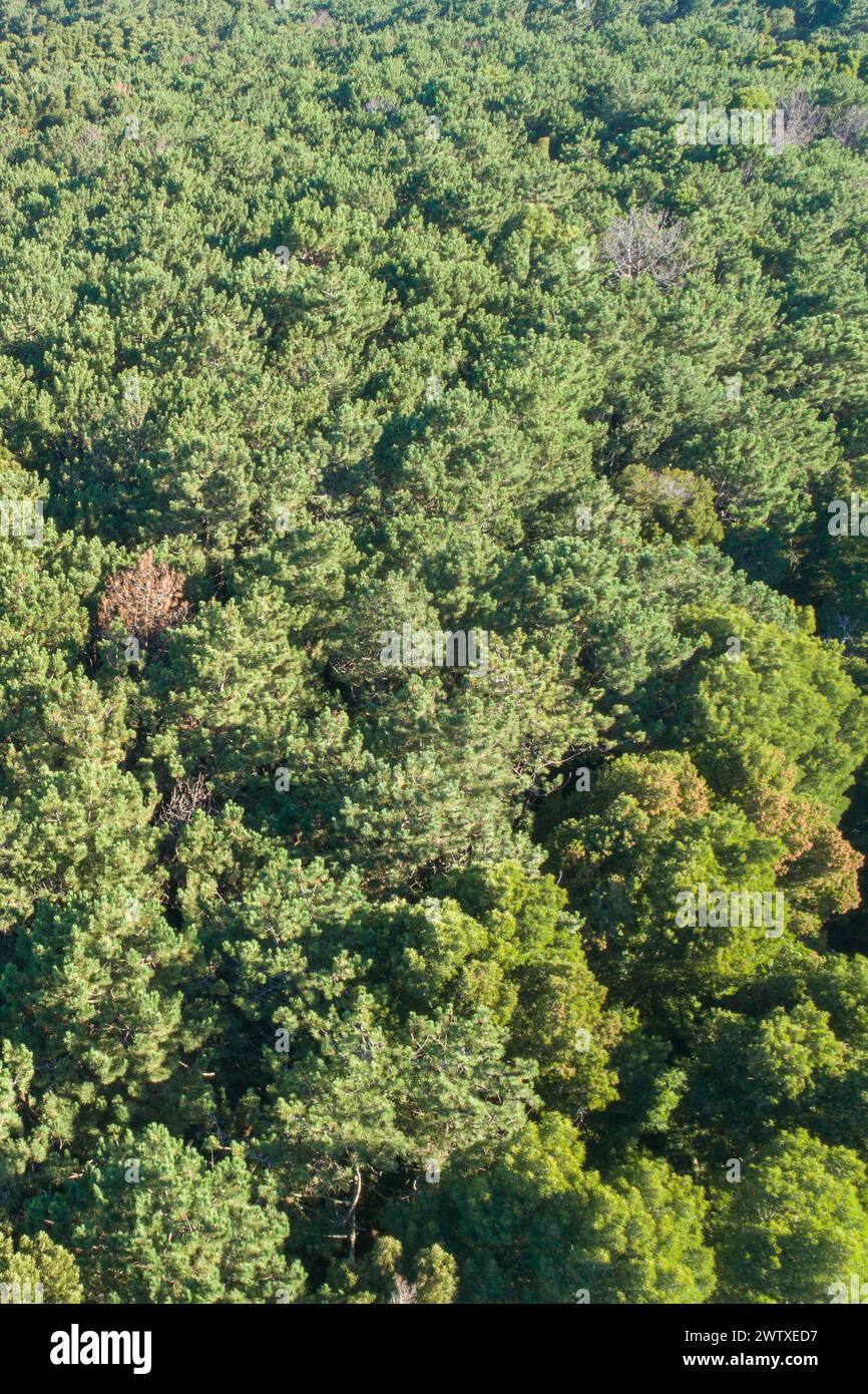 Aerial conservation view hi-res stock photography and images - Alamy