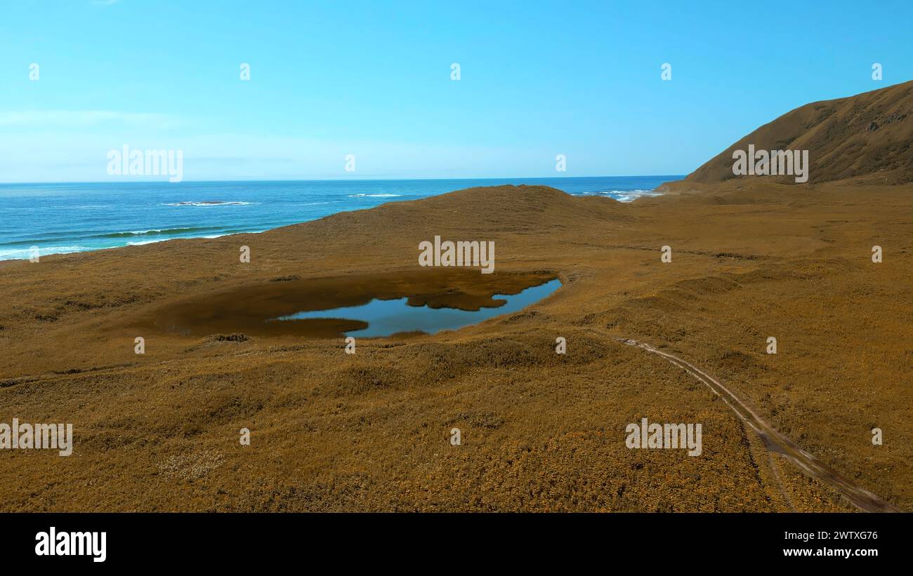 Panning small clean pond in hi-res stock photography and images - Alamy
