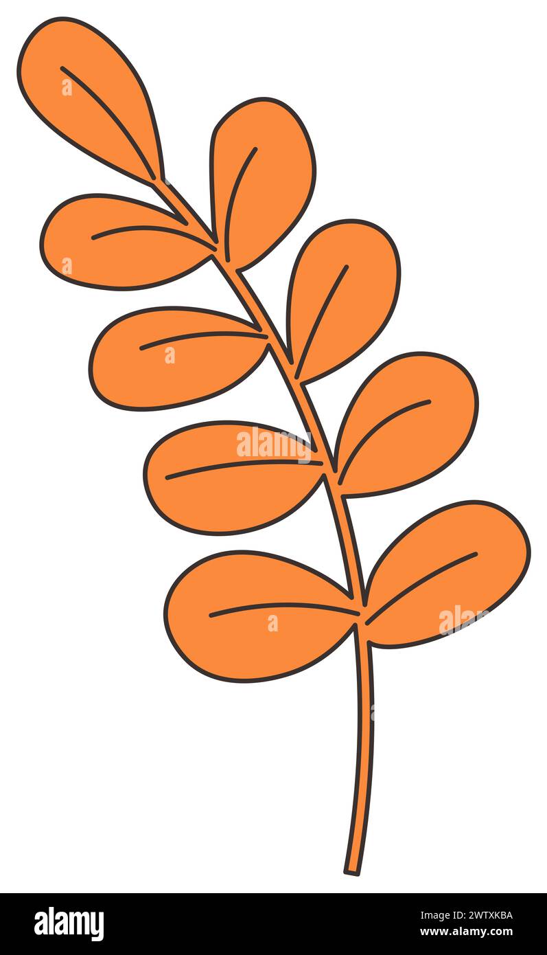 Autumn Leaf Collection Vector Illustration Stock Vector Image Art Alamy Autumn Leaf Collection Vector Illustration Stock Vector Image Art Alamy