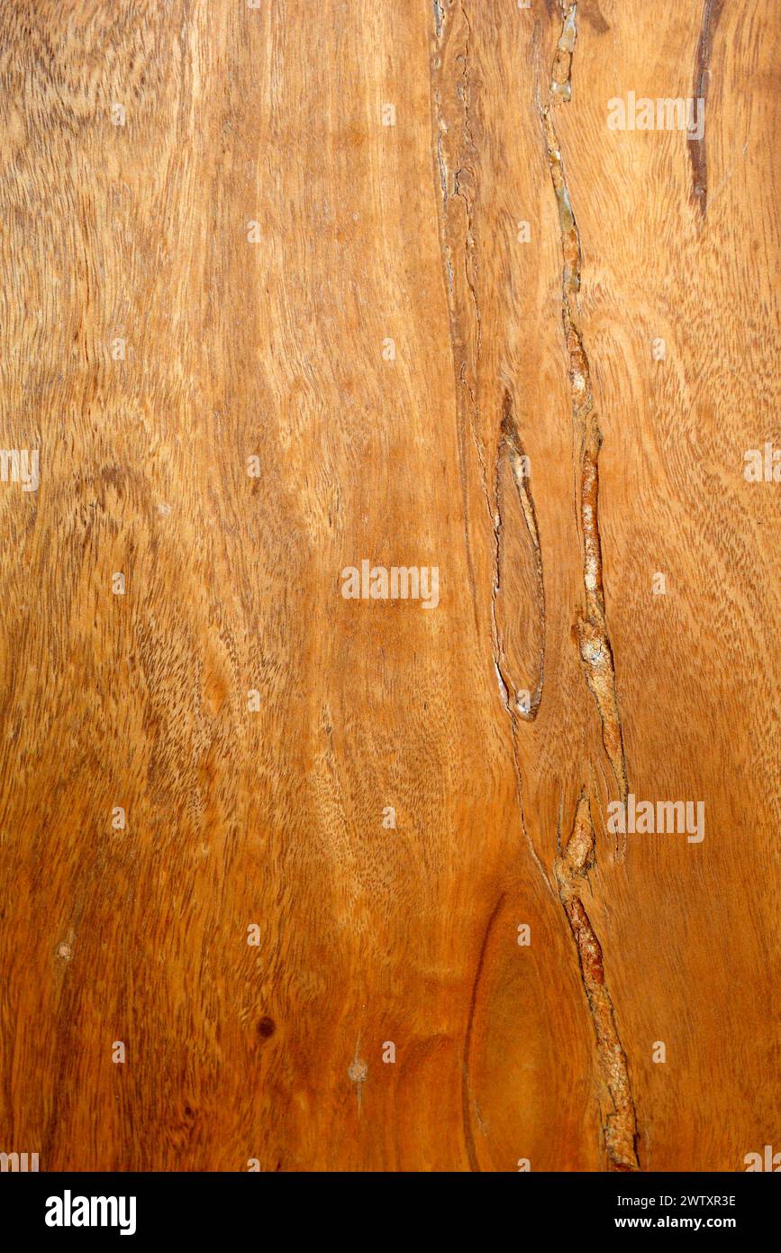 Indian sheesham hardwood grain Stock Photo