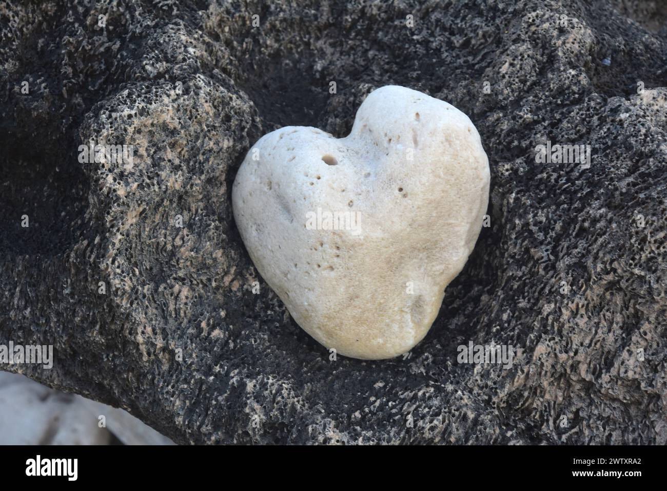 Surf tumbled hi-res stock photography and images - Alamy
