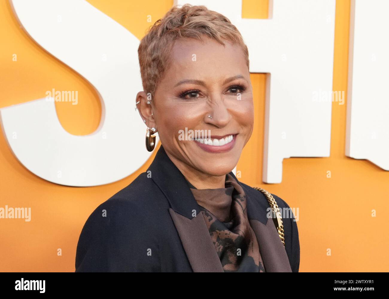 Gammy Norris arrives at the Netflix's SHIRLEY Los Angeles Premiere held