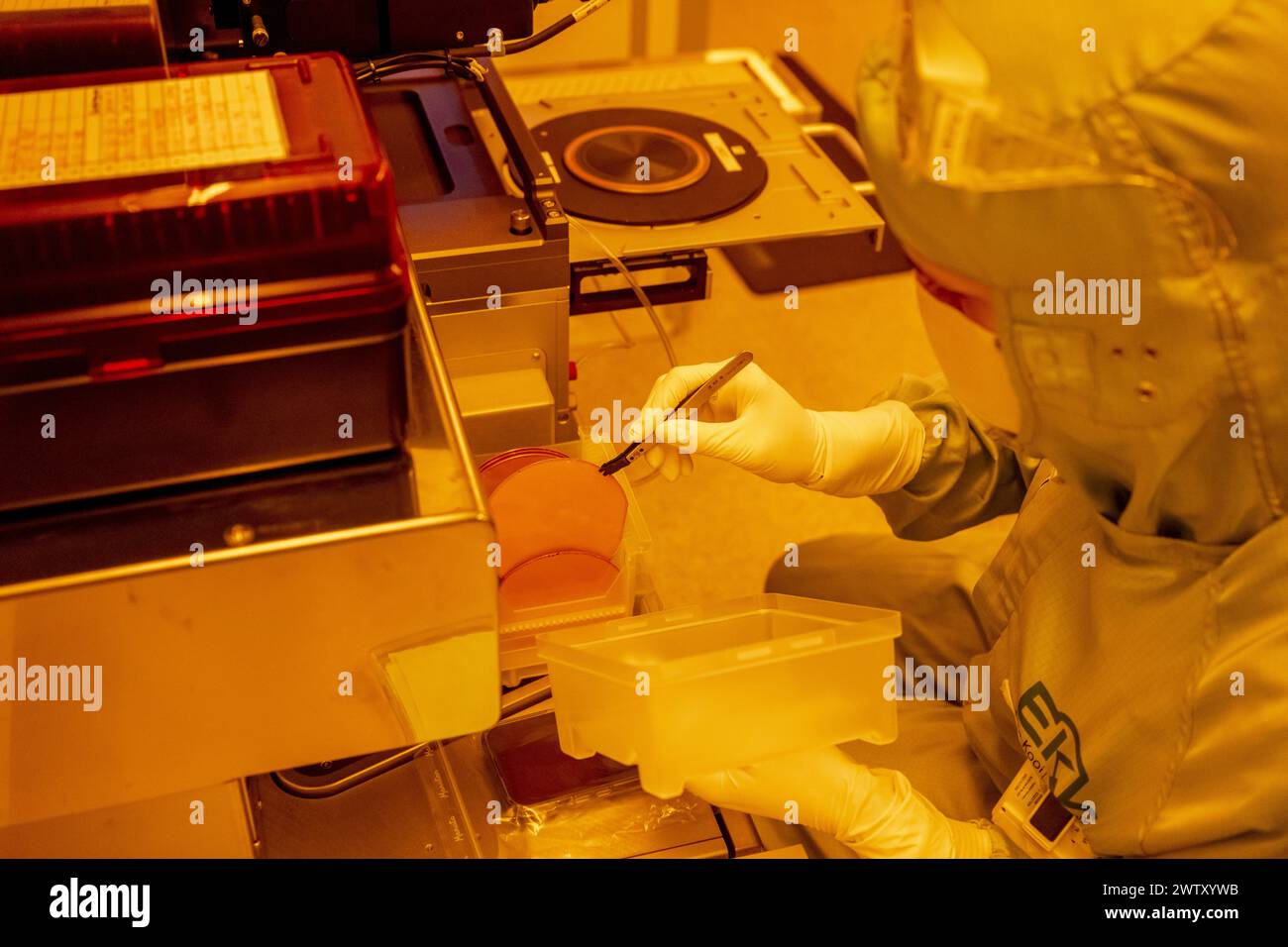 DELFT Employees are working in the Else Kooi yellow light cleanroom