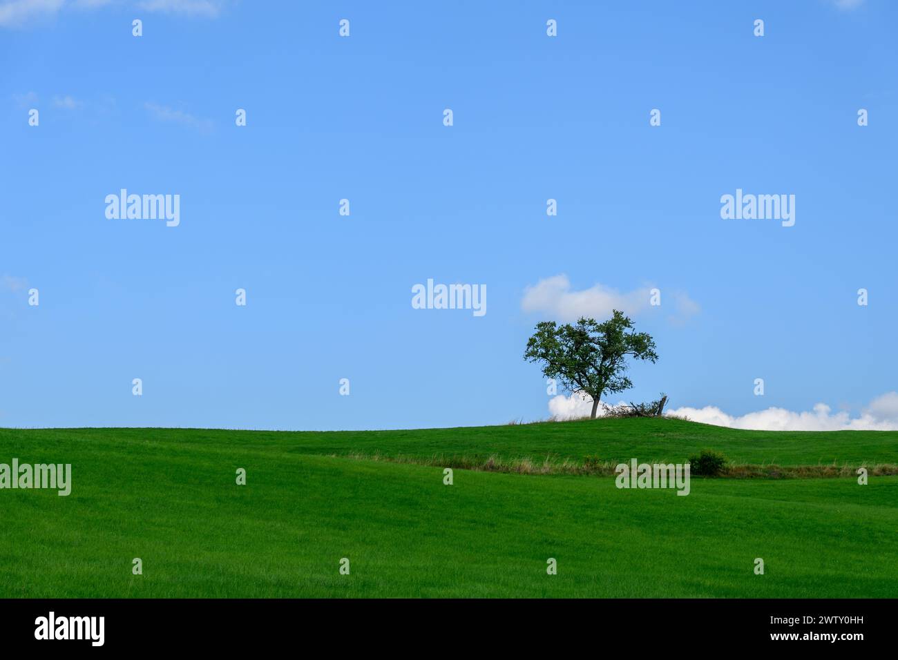 Stand alone view hi-res stock photography and images - Alamy