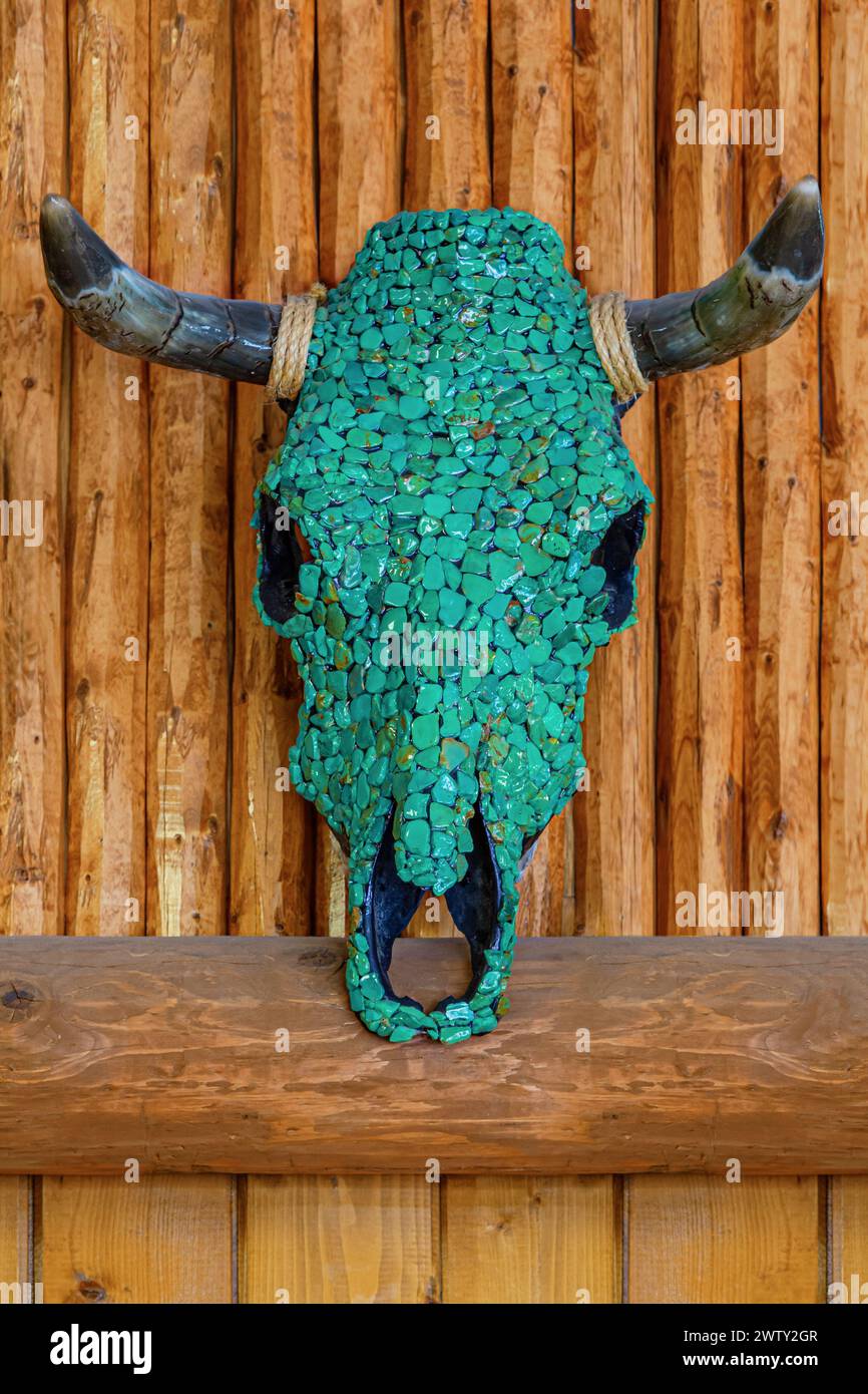 Decorated Cow skull wall sculpture with semi-precious gemstones of Turquoise on wooden background. Navajo Native American Indian, handcrafted work of art Turquoise Steer Bull Skull.Decorated cow skull Stock Photo