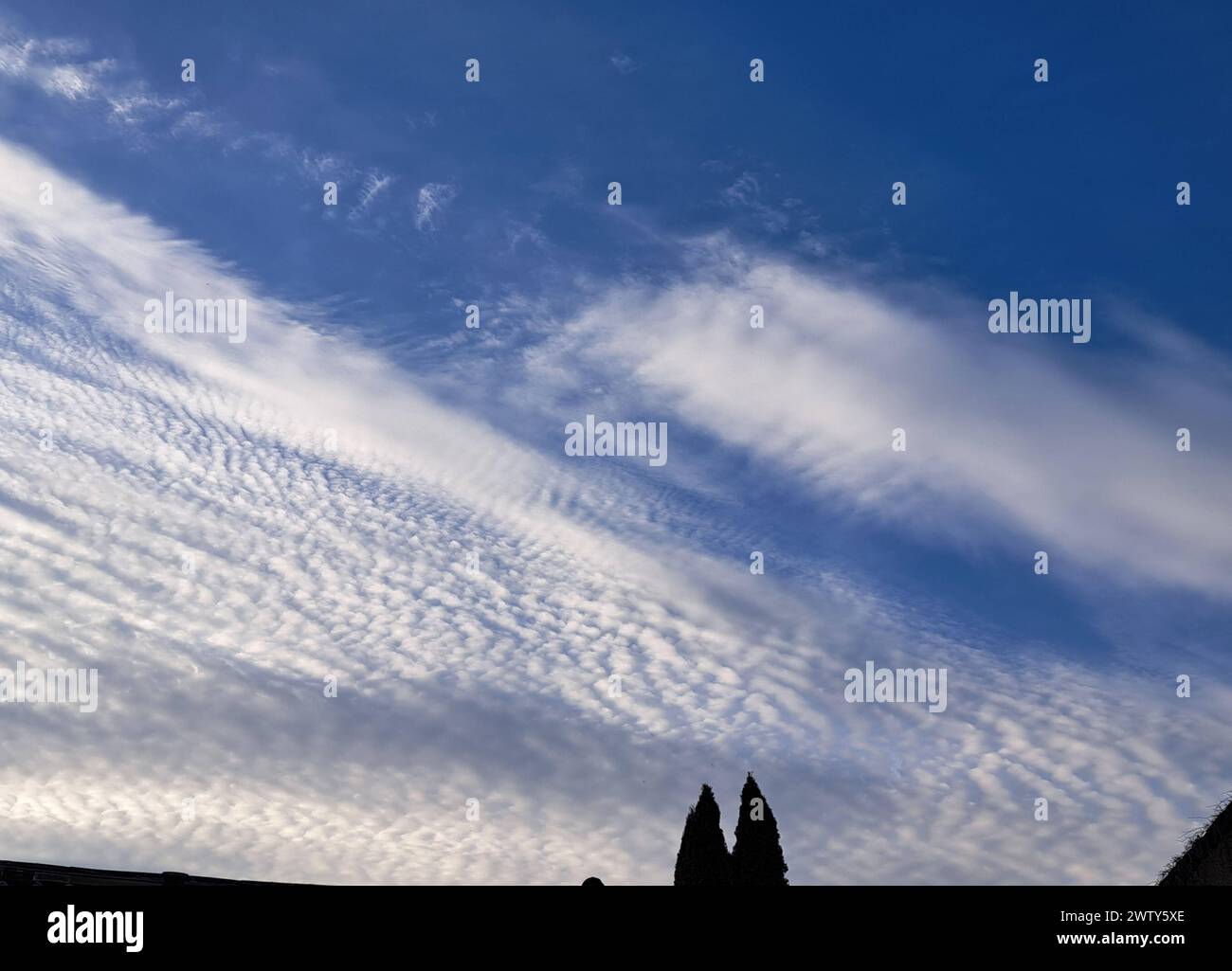 Himmel 14.03.2024, Ostramondra, Wolken am blauen Himmel, die Wolken scheinen unnatuerlich *** Sky 14 03 2024, Ostramondra, clouds in the blue sky, the clouds seem unnatural Stock Photo