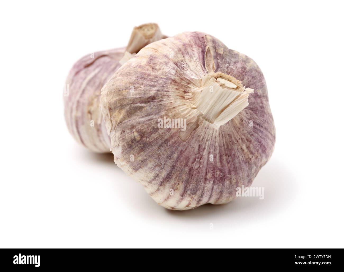 fresh garlic isolated on white background Stock Photo - Alamy
