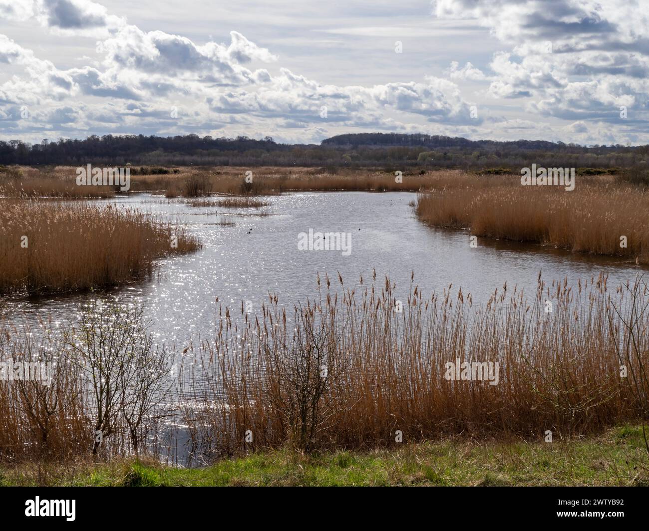 Sunlight glistening on water at St Aidans Nature Park, West Yorkshire, England Stock Photo