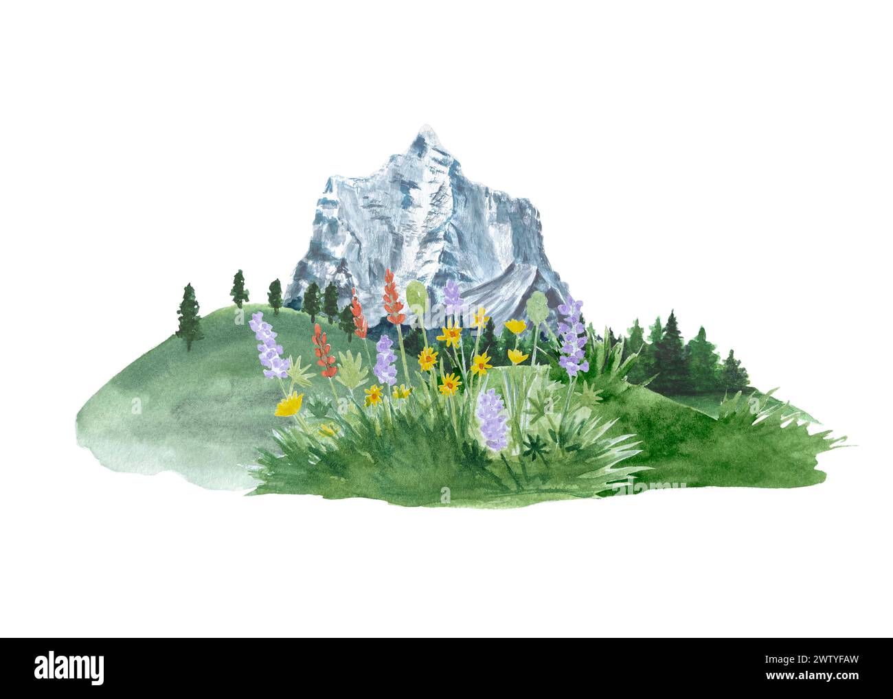 Watercolor composition of wild flowers, hills, trees and a mountain in a natural landscape Stock Photo