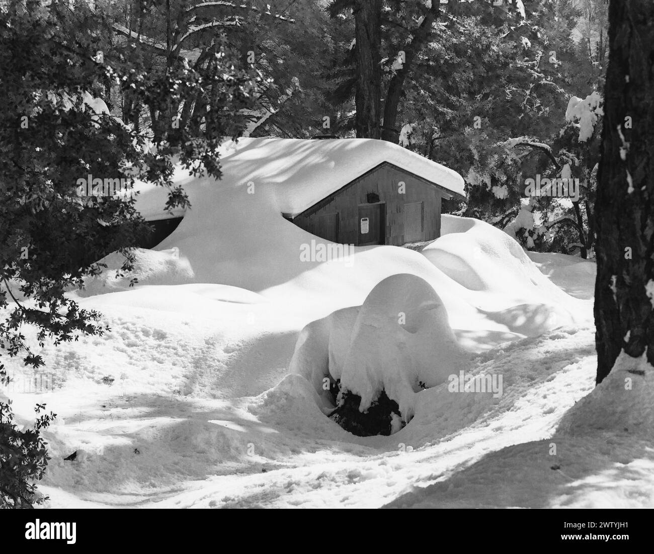 Cabin in the woods pictured after a heavy snowfall. Stock Photo