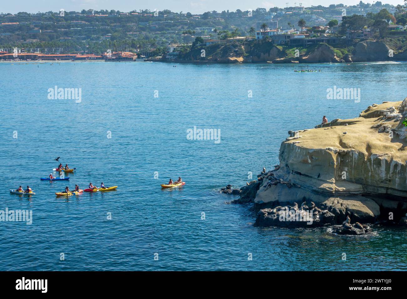 Kayakers observing sea lions in La Jolla cove, San Diego, California Stock Photo