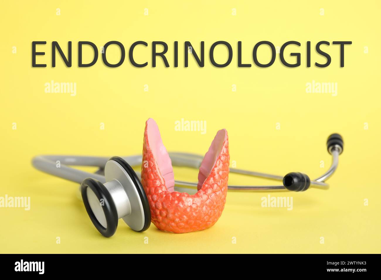 Endocrinologist. Model of thyroid gland and stethoscope on yellow background, closeup Stock Photo