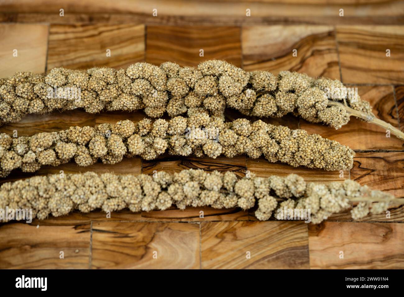 Millet crop rotation hires stock photography and images Alamy