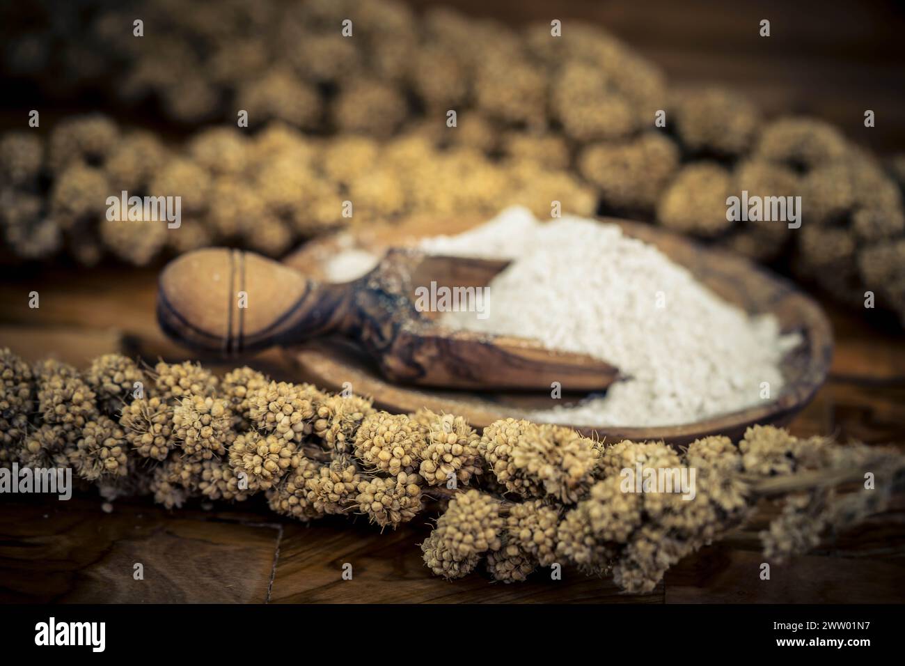 Millet crop rotation hires stock photography and images Alamy