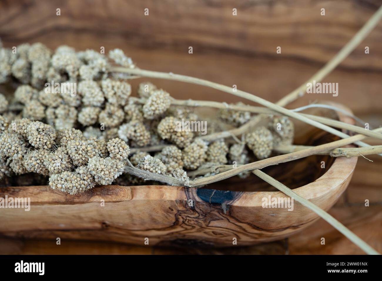 Millet crop rotation hires stock photography and images Alamy