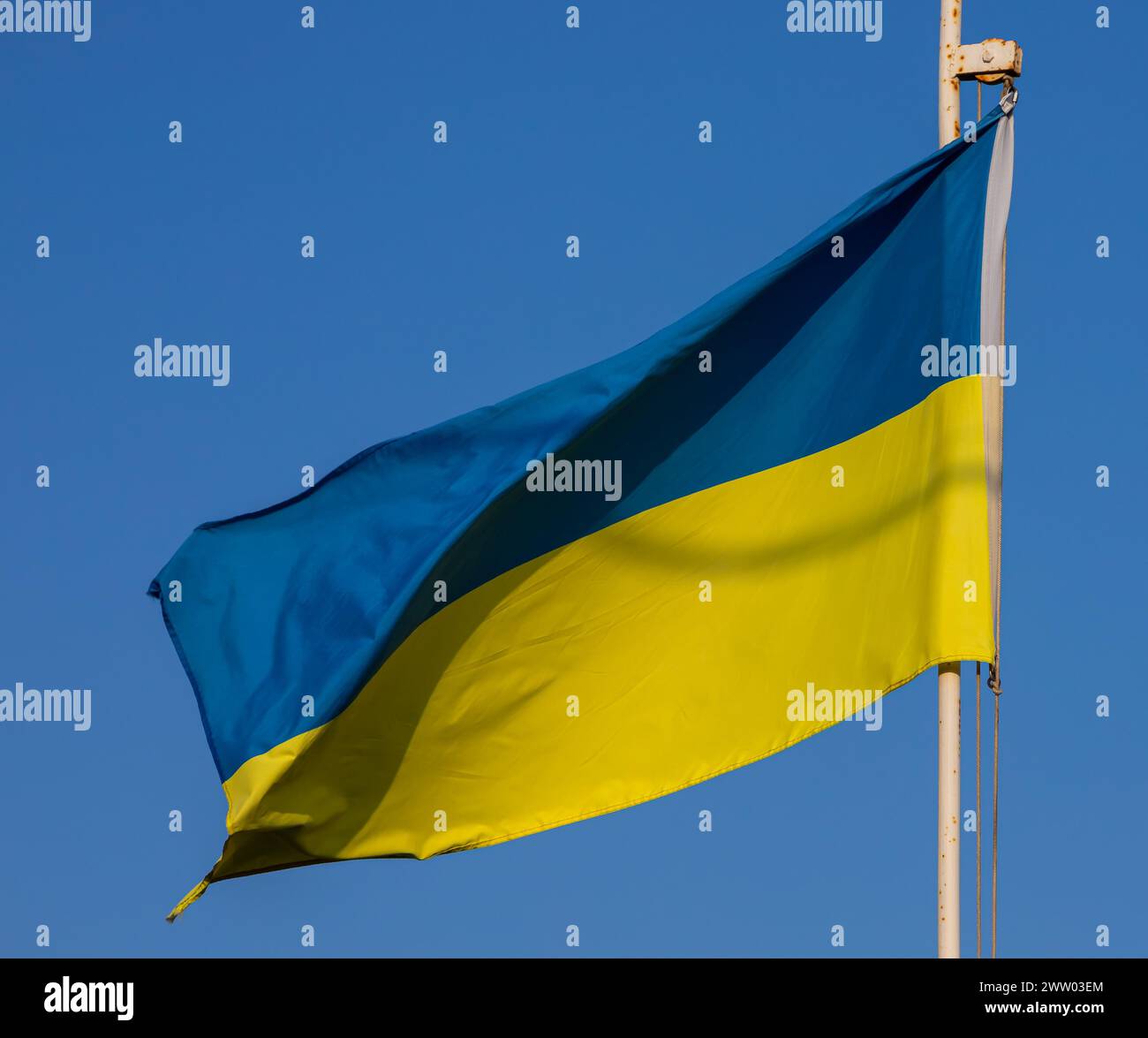 Ukraine flag isolated on sky background. close up waving flag of Ukraine. flag symbols of Ukraine. Stock Photo
