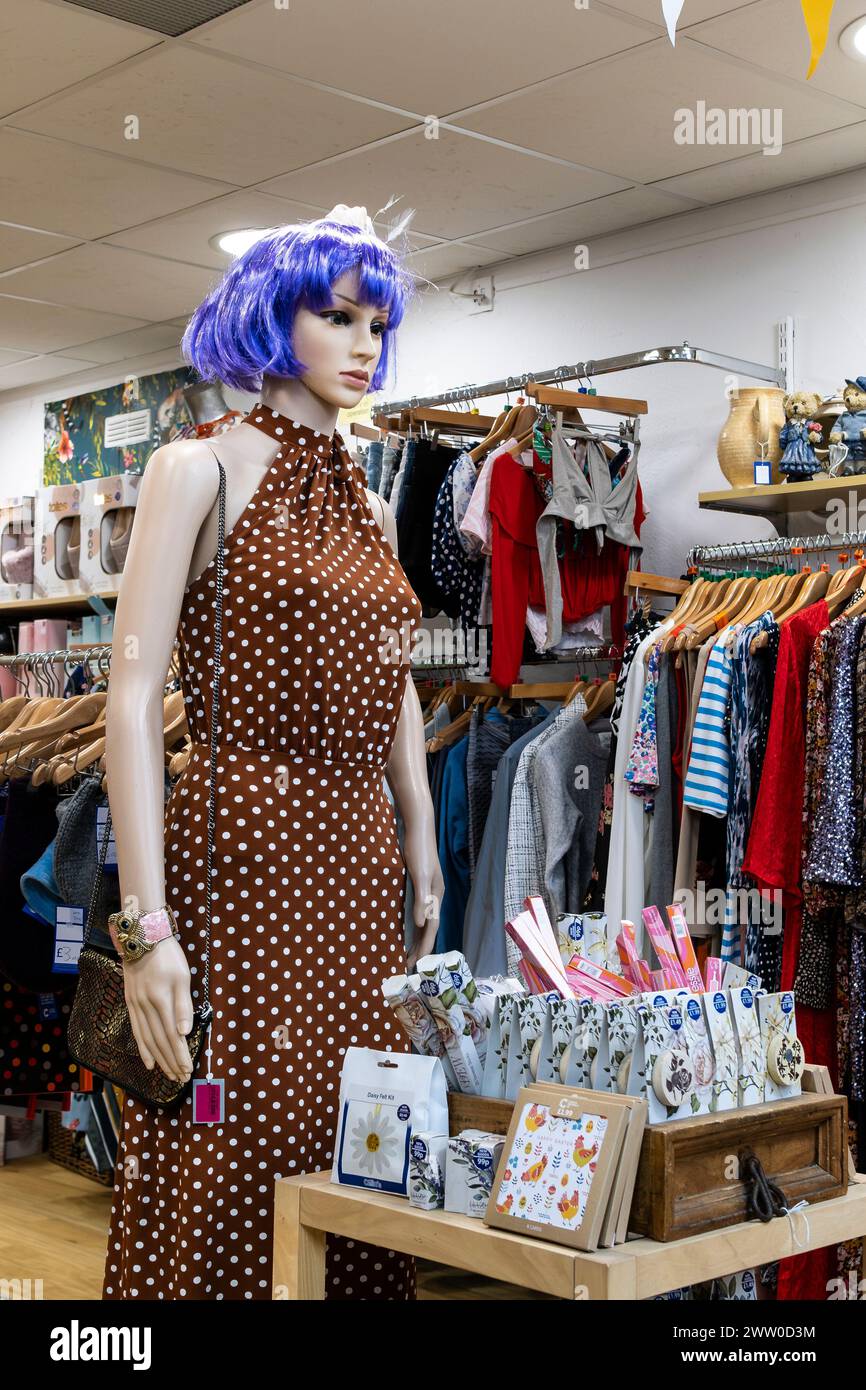 A mannequin in the clothing section of a charity shop store in Newquay in Cornwall in the UK. Stock Photo