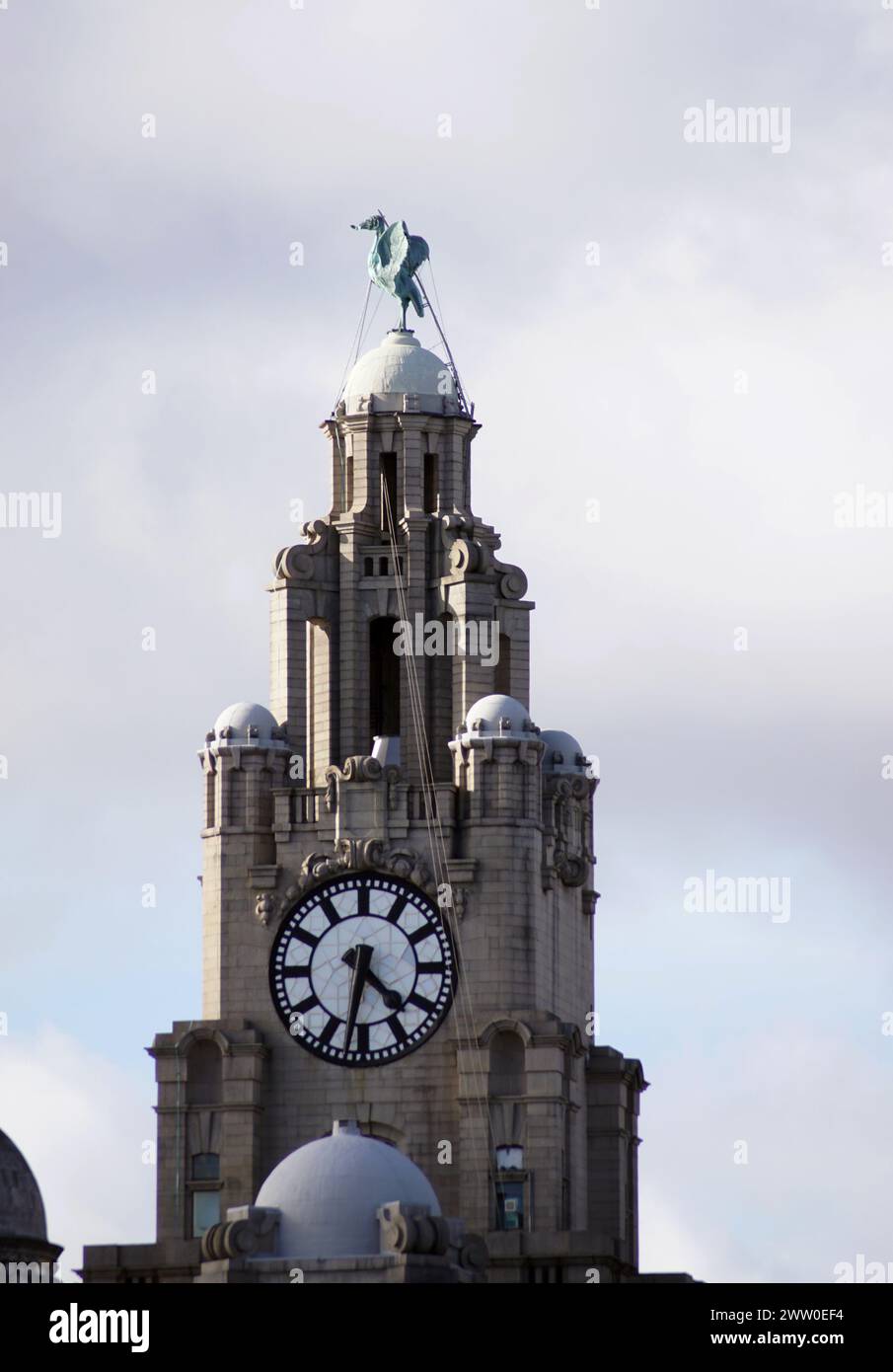 Liverpool city centre views of the Liver Building, Liver Birds, and the first UK concrete building Stock Photo