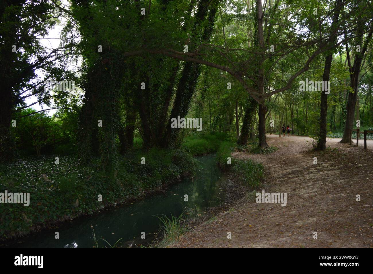 Diferentes paísajes de bosques, montañas y va.cas Stock Photo