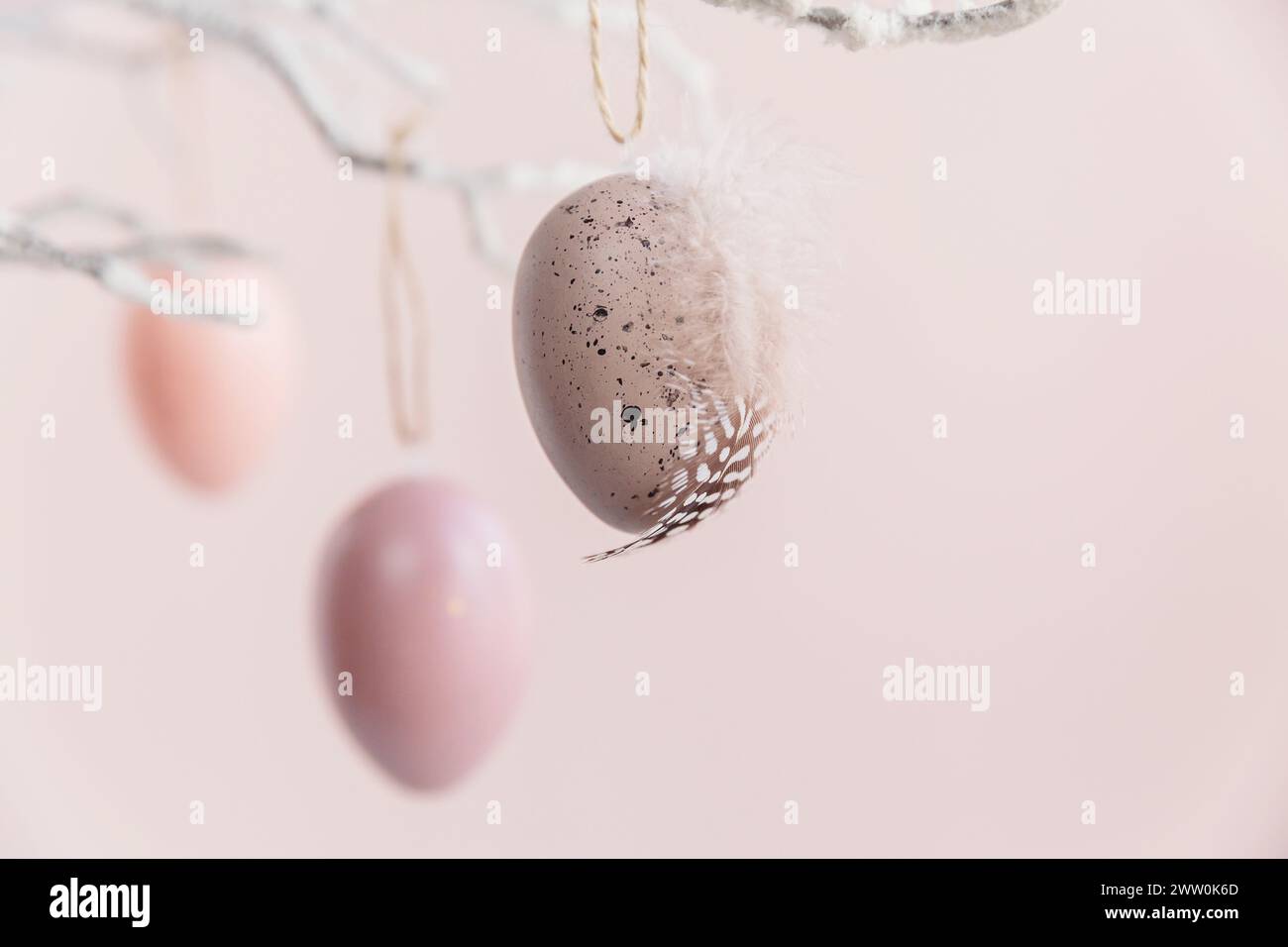 Tree branch decorated with Easter eggs on pastel pink background Stock Photo