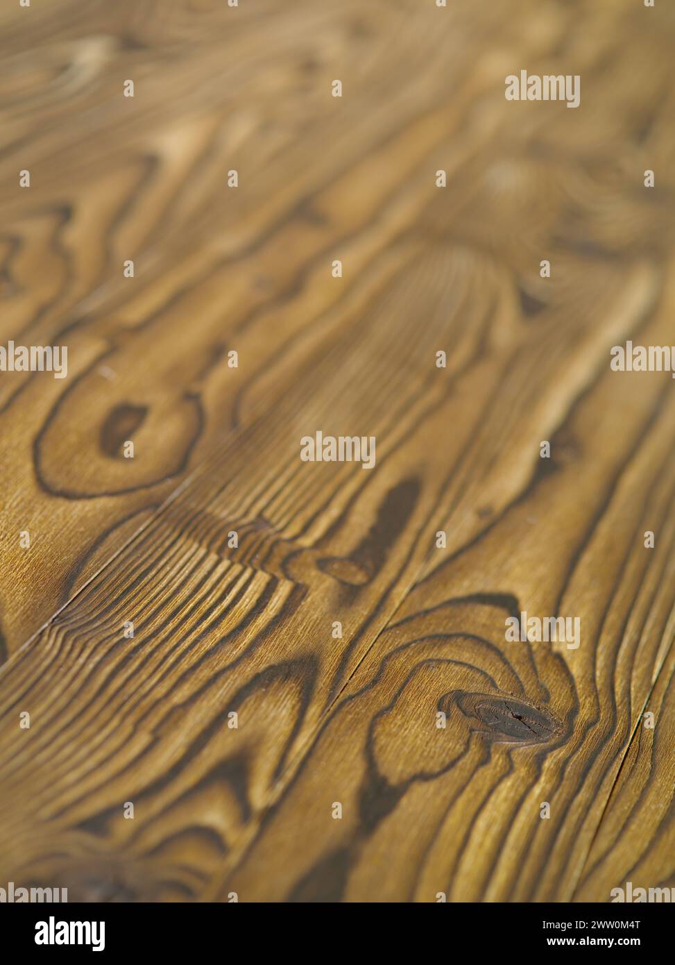 brown old texture of a tree (high-resolution images Stock Photo - Alamy