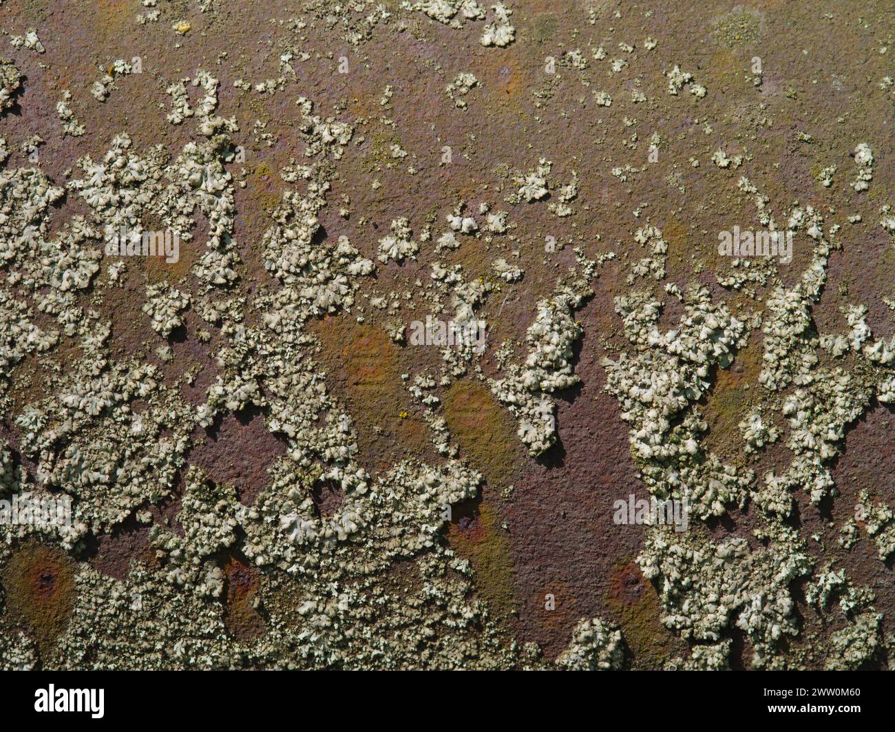 old rusty structure of metal (high-resolution images Stock Photo - Alamy