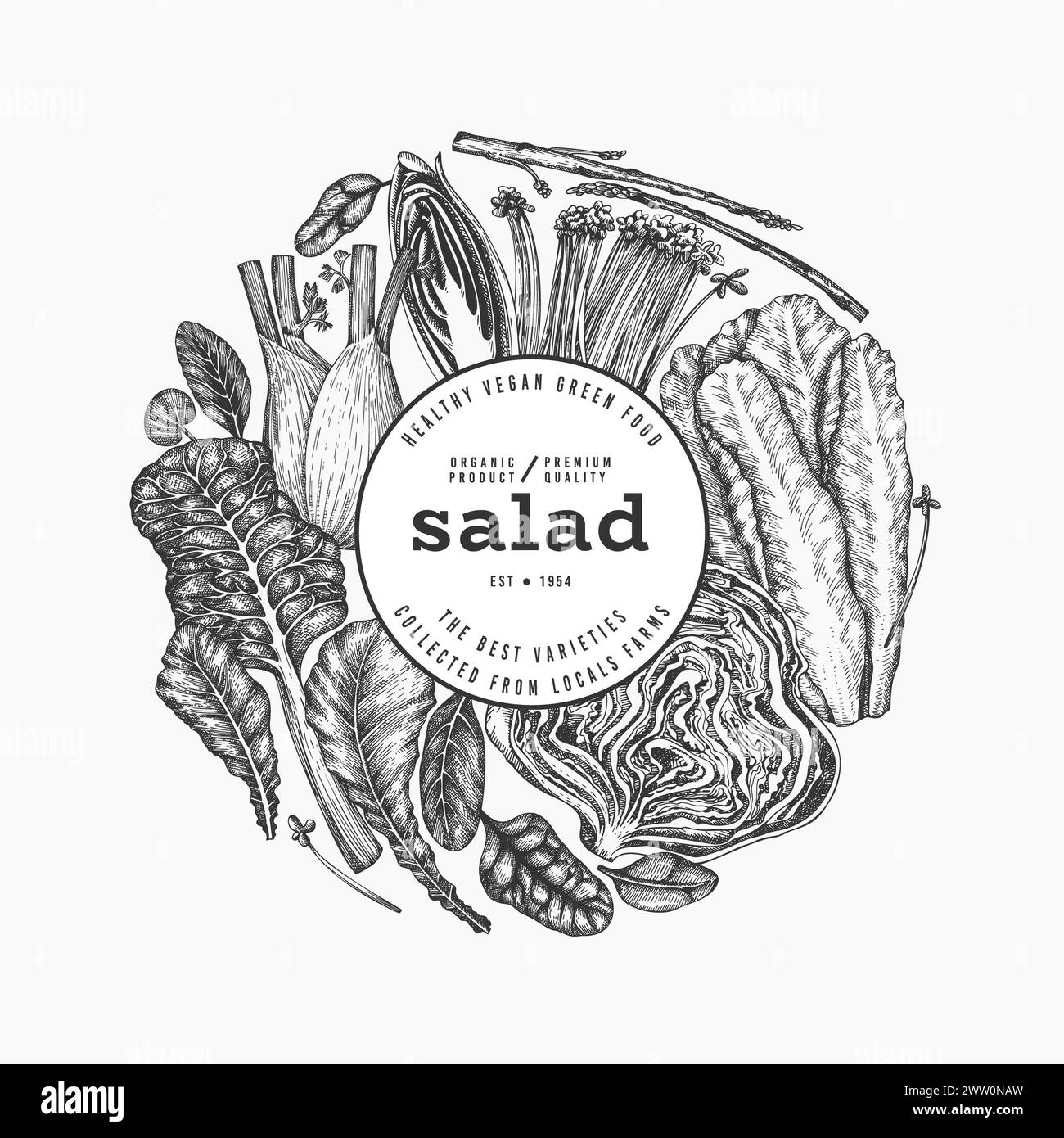 Green Vegetable Design Template. Vector Hand Drawn Healthy Leaf Salad Banner. Vintage Style Menu Illustration. Stock Photo