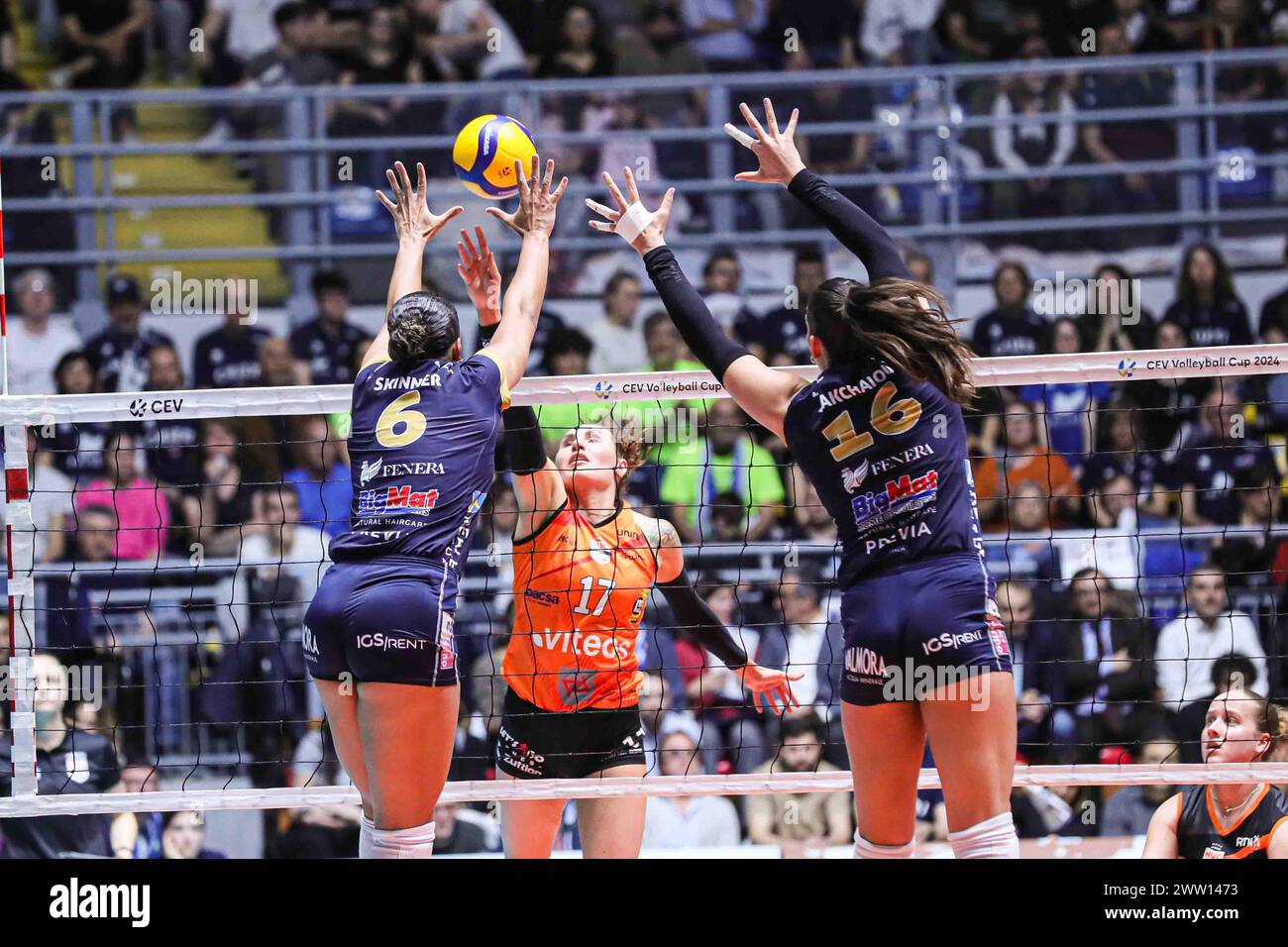 Turin, Italy. 20th Mar, 2024. #17 Tessa Grubbs (Viteos Neuchatel UC) during Reale Mutua Fenera Chieri vs Viteos Neuchatel, Volleyball CEV Cup Women match in Turin, Italy, March 20 2024 Credit: Independent Photo Agency/Alamy Live News Stock Photo