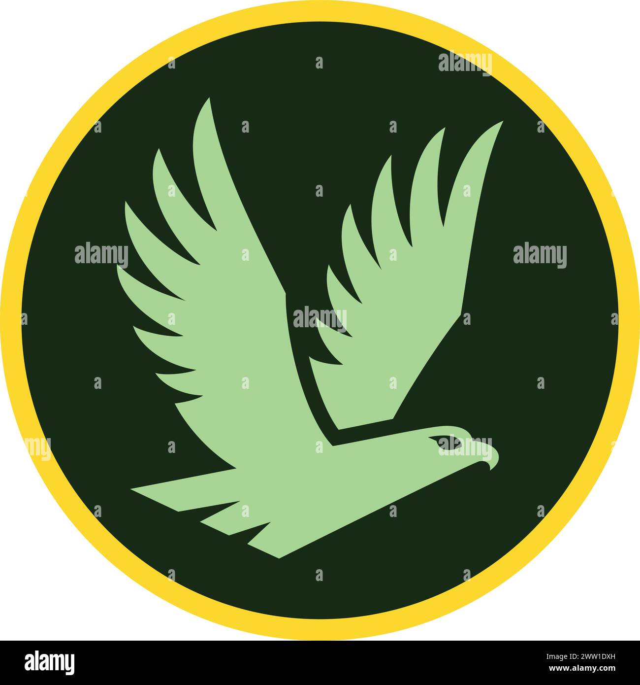 Round retro patch with flying eagle. Air force emblem Stock Vector