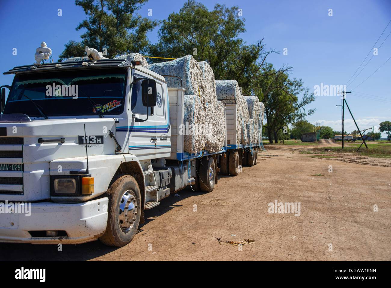 Cotton production ready to ship to factories by trucks. Stock Photo