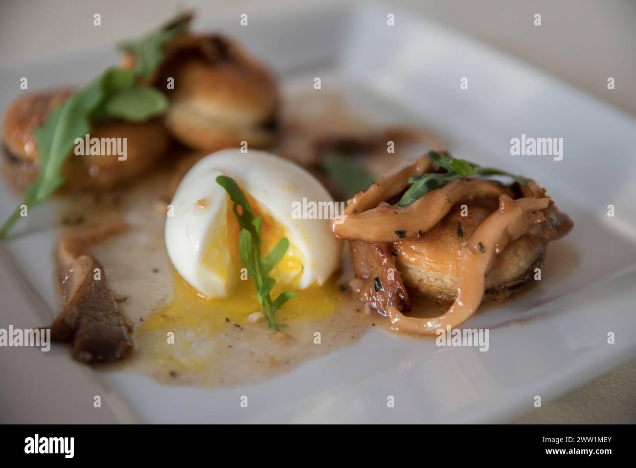 Scallops and Quail Egg Stock Photo Alamy