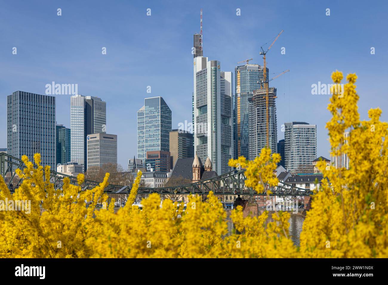 2024 frankfurt skyline hires stock photography and images Alamy
