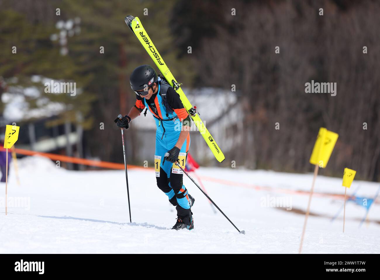 Nagano, Japan. 17th Mar, 2024. Yuta Sasagawa Ski Mountaineering : SKIMO Japan Championships U18 U20 Men's Sprint at Hakuba Happo-one snow resort in Nagano, Japan . Credit: Yohei Osada/AFLO SPORT/Alamy Live News Stock Photo
