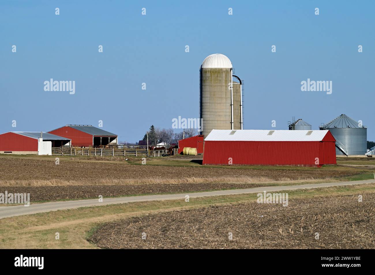 Mendota, Illinois, USA. Barns, sheds and a silo make up the array of