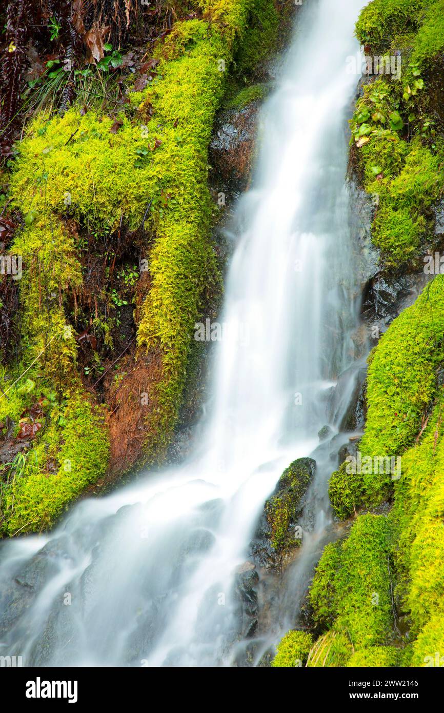 Seasonal falls, Quartzville Creek Wild and Scenic River, Quartzville