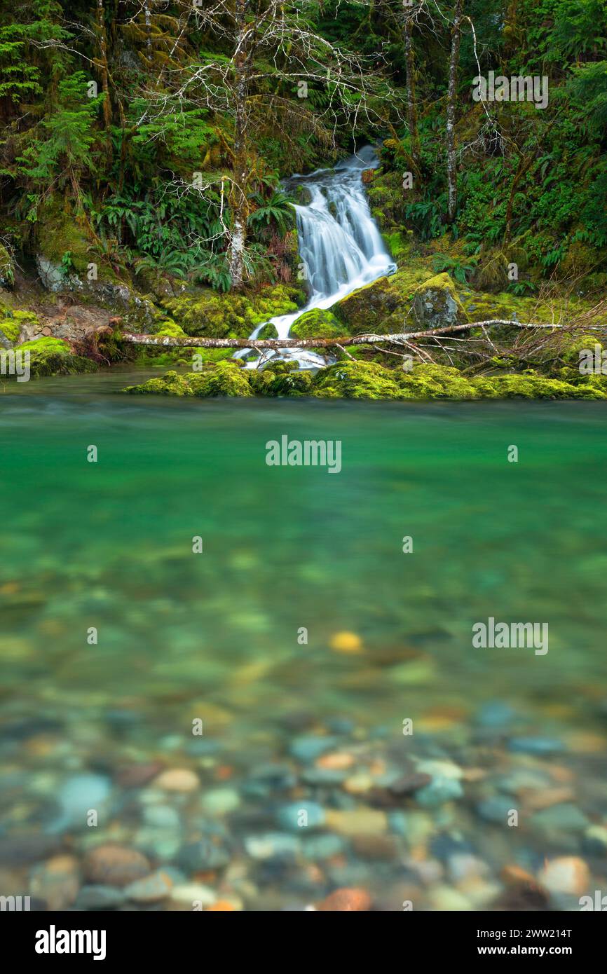 Quartzville Creek Wild and Scenic River, Quartzville National Back ...